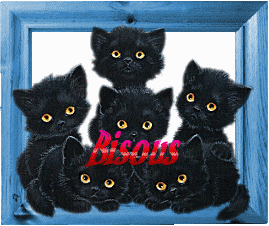 bisous chats noirs